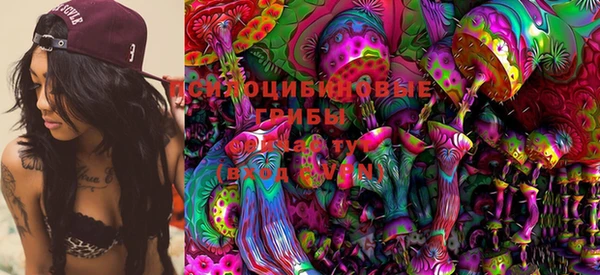 PSILOCYBIN Нефтегорск
