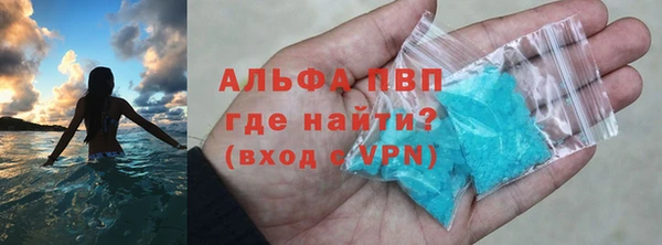 PSILOCYBIN Нефтегорск