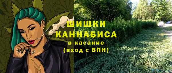 гашик Надым