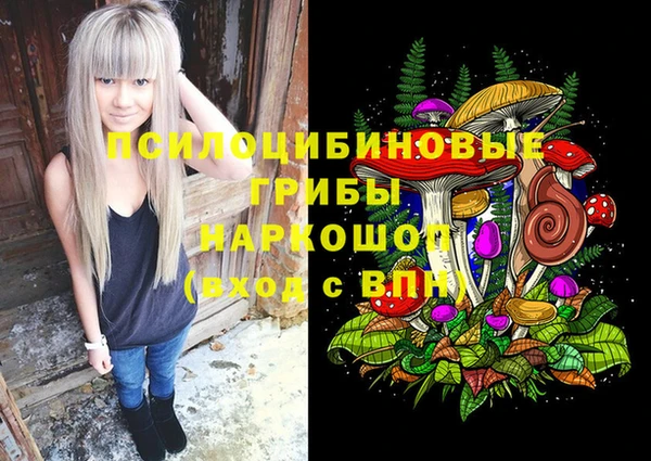 PSILOCYBIN Нефтегорск