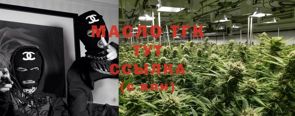 гашик Надым