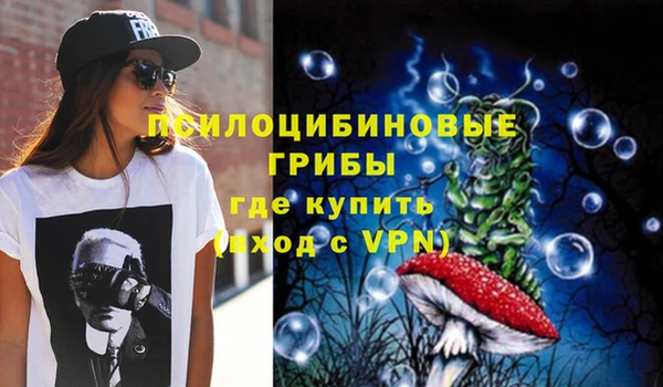 PSILOCYBIN Нефтегорск