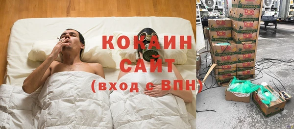 PSILOCYBIN Нефтегорск