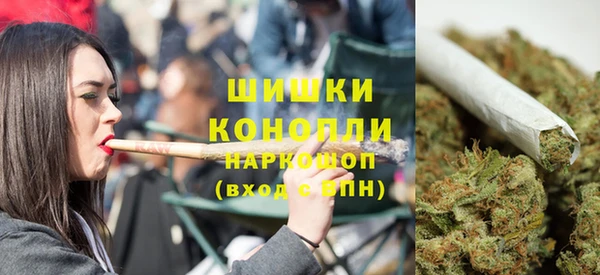 PSILOCYBIN Нефтегорск