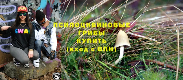 гашик Надым